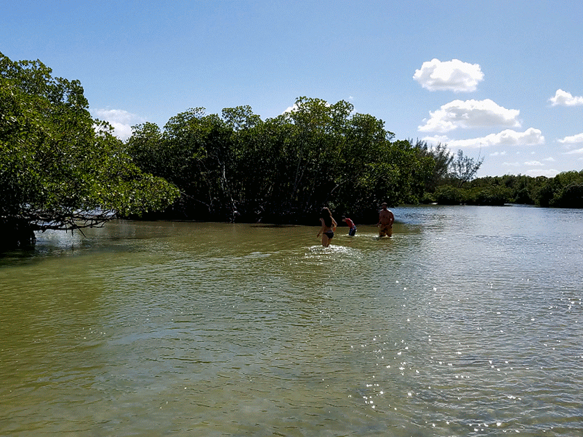 20170211_123915-animation