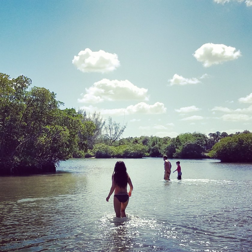 img_20170211_183219_157